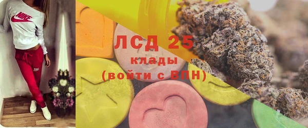 прущие грибы Абинск
