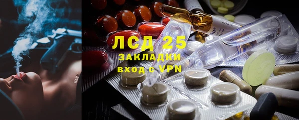 прущие грибы Алексеевка