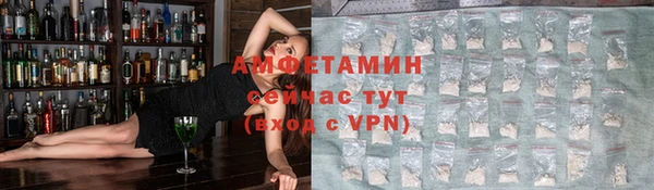 прущие грибы Алексеевка
