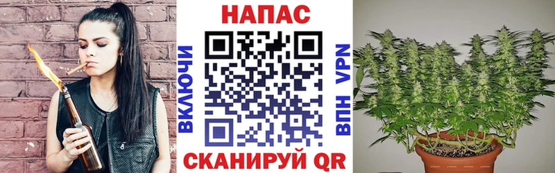 Канабис White Widow  Трёхгорный 
